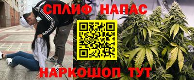 ГАЛЛЮЦИНОГЕННЫЕ ГРИБЫ Тавда