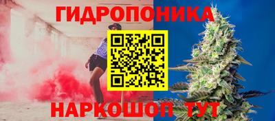 спиды Таганрог