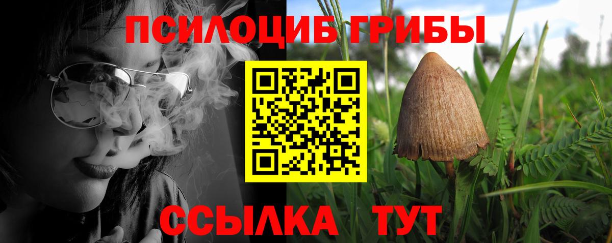 Псилоцибиновые грибы ЛСД  Вход с VPN  Псилоцибиновые грибы Psilocybe  Артём 